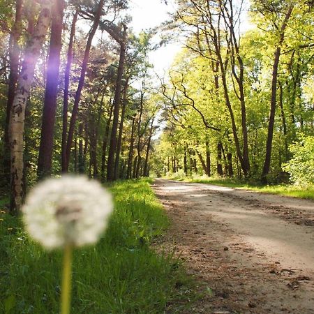 Natuurhuisje Even Niets Zelhem Exteriör bild