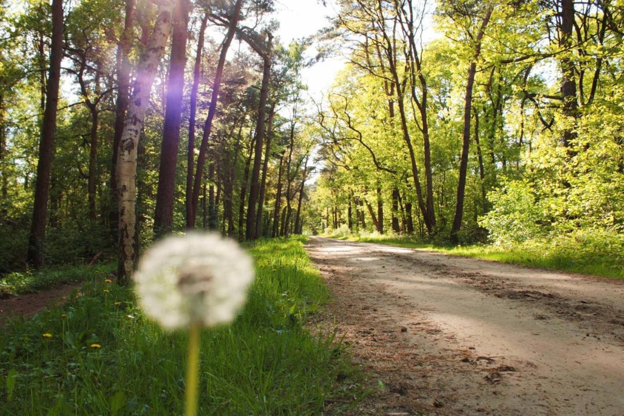 Natuurhuisje Even Niets Zelhem Exteriör bild